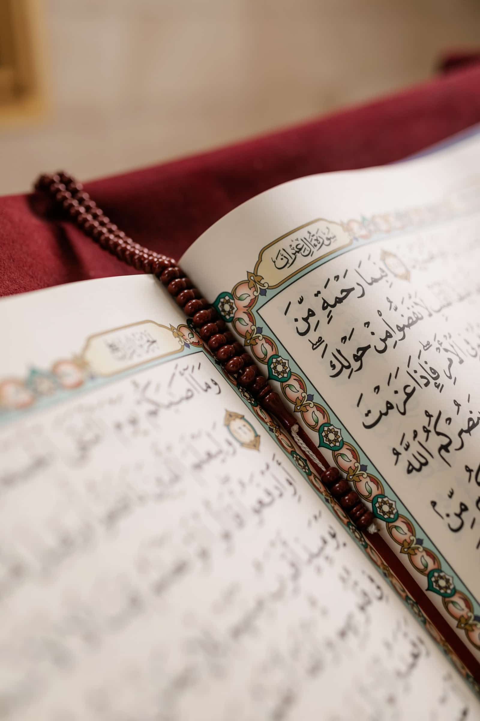 مجتمع الدعم المتبادل