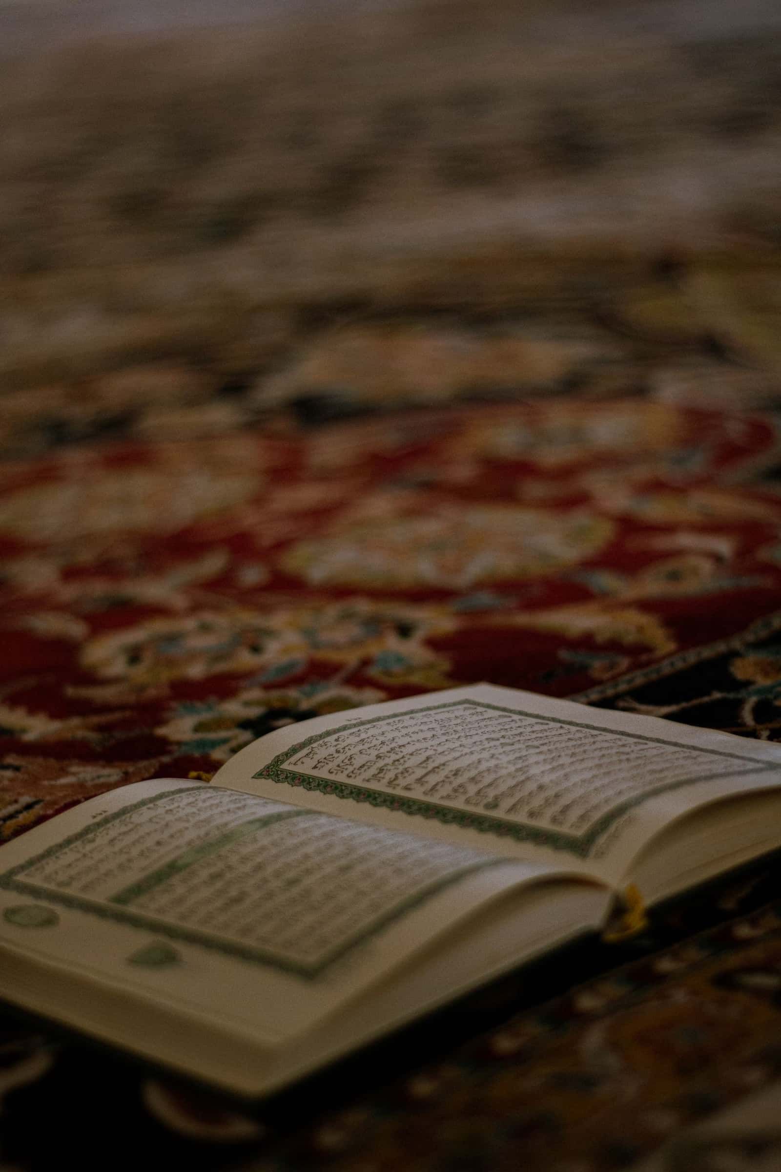 ورش بناء العادات
